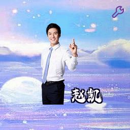 赵凯